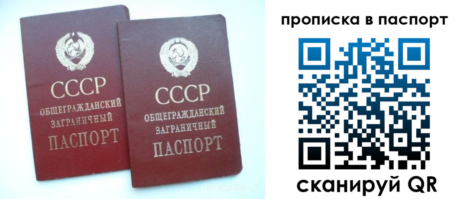 прописка законно в Николаевске-на-Амуре